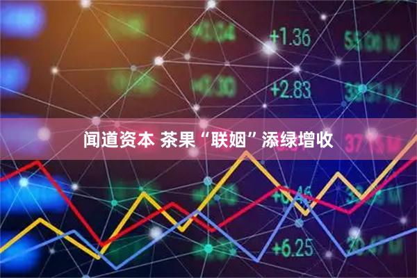 闻道资本 茶果“联姻”添绿增收