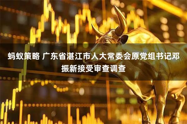 蚂蚁策略 广东省湛江市人大常委会原党组书记邓振新接受审查调查