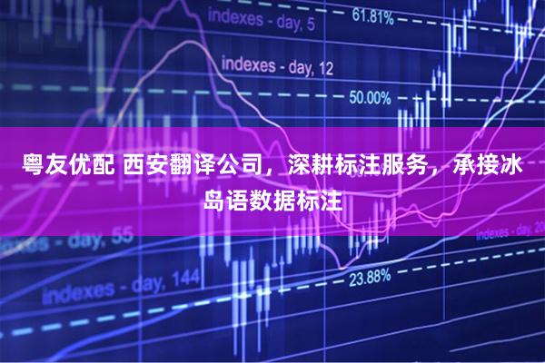 粤友优配 西安翻译公司，深耕标注服务，承接冰岛语数据标注